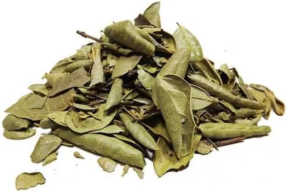 chá de boldo