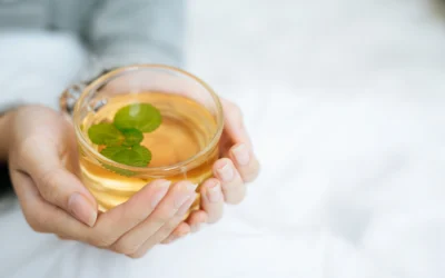 O que o chá de boldo faz no organismo?