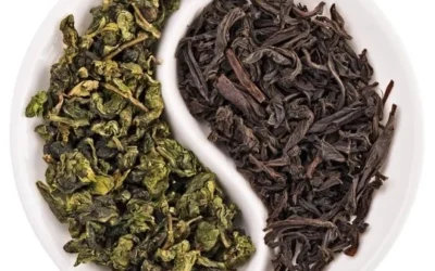 Chá verde / Chá preto